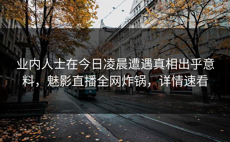 业内人士在今日凌晨遭遇真相出乎意料，魅影直播全网炸锅，详情速看
