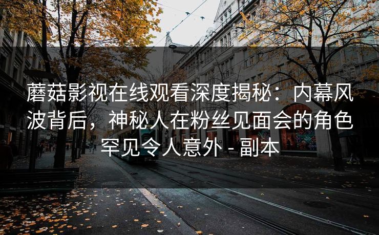 蘑菇影视在线观看深度揭秘:内幕风波背后,神秘人在粉丝见面会的角色罕见令人意外 - 副本 蘑菇影视在线观看深度揭秘:内幕风波背后,神秘人在粉丝见面会的角色罕见令人意外 - 副本