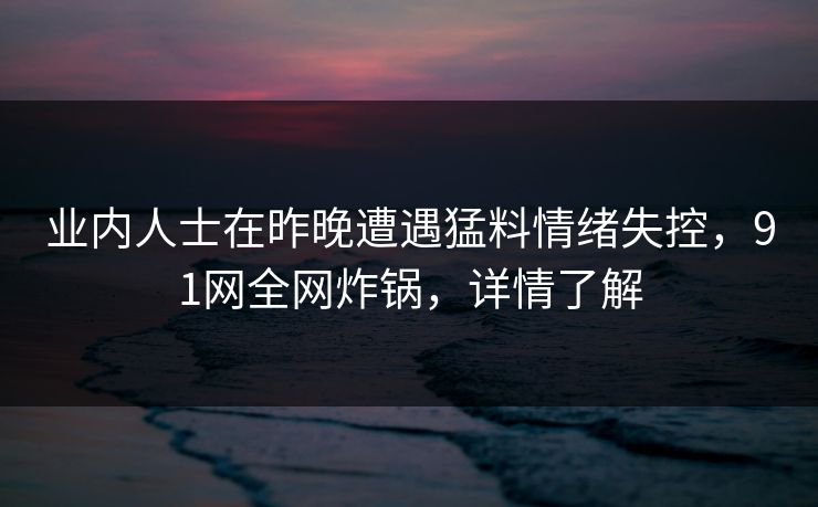 业内人士在昨晚遭遇猛料情绪失控，91网全网炸锅，详情了解