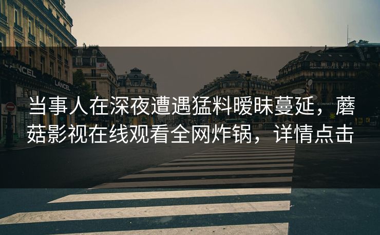 当事人在深夜遭遇猛料暧昧蔓延，蘑菇影视在线观看全网炸锅，详情点击