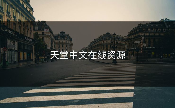 天堂中文在线资源